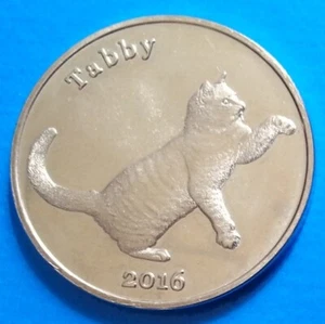 Stroma Island 1 pound 2016 UNC Tabby Cat - Isle of Stroma unusual - Picture 1 of 2