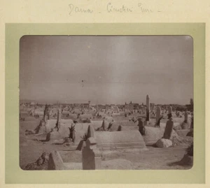 Syrie. Damas. Vue d'ensemble de la ville. Citrate circa 1900. - Picture 1 of 1