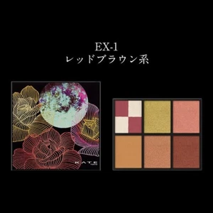 Kanebo Kate Brown Layer Palette EX-1 limited edition - Picture 1 of 1