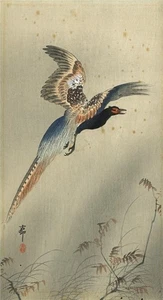 Ohara Koson (1877-1945) - Japanischer Holzschnitt - Fasan im Flug - Bild 1 von 12