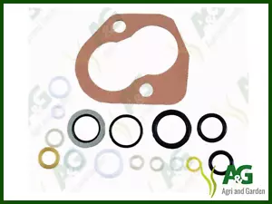 Hydraulic Dump Valve Repair Kit suits David Brown Tractor 880 990 996 1390 1690 - Picture 1 of 1