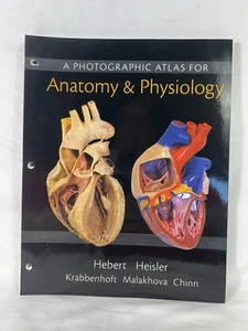 Fotoatlas für die Anatomie - Loseblatt, von Hebert Nora; Heisler - sehr gut - Bild 1 von 4