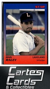 Dan Raley 1989 Star Lakeland Tigers #17  Detroit Tigers
