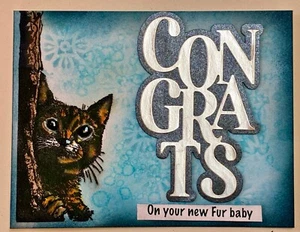 CONGRATULAZIONI - GATTINO "sulla tua nuova pelliccia bambino" - biglietto fatto a mano da Dee - Foto 1 di 4