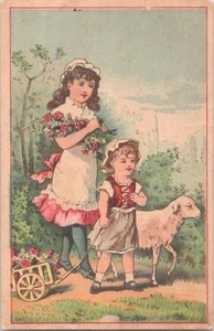 Jersey Coffee - Dayton Spice Mills Co Dayton, Ohio - Victorian Trade Card - Picture 1 of 2