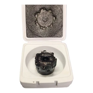 Walter Planfrässchale 63 mm F5041.B22.063.Z07.08 CNC-Frässchalenfräser - Bild 1 von 2