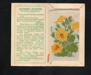KENSITAS Silk Flowers 2nd Series cover and silk Small Monkey Flower # 20 - Picture 1 of 2