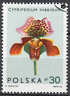 Polen gestempelt Blume Flora Pflanze Freilandorchidee Orchidee Natur / 691