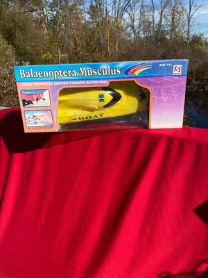 Mando a distancia RC 23" Balaenoptera Musculus barco de carreras amarillo y verde Foto 1 de 4