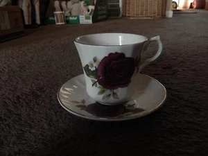 SPRINGFIELD BONE CHINA TEA CUP & SAUCER, PURPLE ROSES MADE IN ENGLAND - Picture 1 of 16