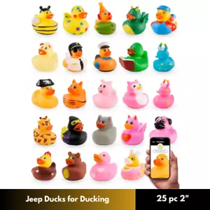 Jeep Ducks for Ducking - Assorted Ducks for Jeeps - 25 Pc 2" Rubber Ducks Jeep D - Picture 1 of 8