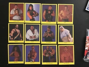 1998 WWE WWF Wrestling CARDINAL Trivia Card Game Singles You CHOOSE ONE Card - Picture 1 of 2