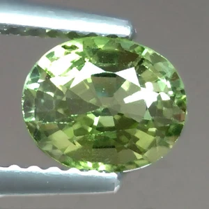1.26cts Excellent Oval Natural Green Tourmaline Loose Genuine Gemstones - Picture 1 of 3