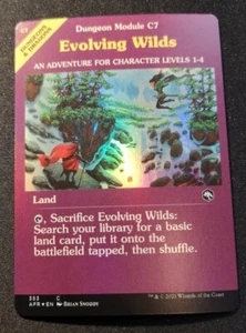 Evolving Wilds - Foil - Showcase - AFR - MTG - EN - NM - 353 - Picture 1 of 1