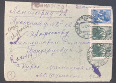 Rusia 1944 cubierta registrada a San Petersburgo Foto 1 de 2