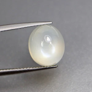 5.74 Cts Best Clean Lustrous 100% Natural Moonstone Loose Gemstone - Picture 1 of 5