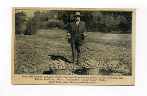 Postal de Dedham MA 1910, granjero gruñón, bushels of papas, granja de la cárcel de Dedham - Imagen 1 de 2