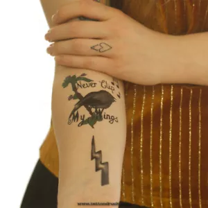 1 x Amy Winehouse Tattoo Set - 13 Motive auf 4 Karten - Fasching Cosplay (1) - Bild 1 von 5