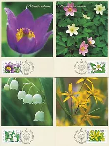 Sweden 2005 FDC - Maxi Card no 271-274 - 4 Cards of Flowers - Signs of Spring - Picture 1 of 3