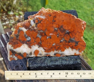 Losa de jaspe amapola Morgan Hill Foto 1 de 2