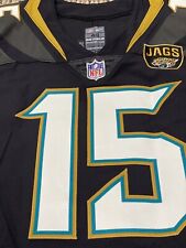 Jacksonville Jaguars Allen Robinson NFL Football 2017 Game Issued Jersey #15