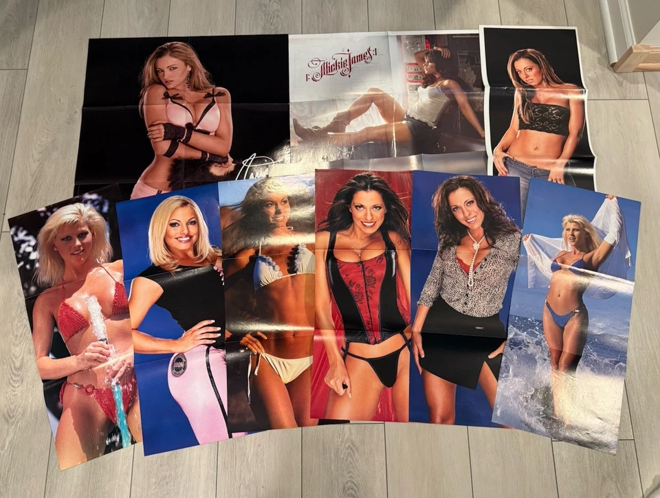 Lote de 10 pósters de WWE Divas de revistas WWF Trish Stratus Stacy Keibler Maria Foto 1 de 4