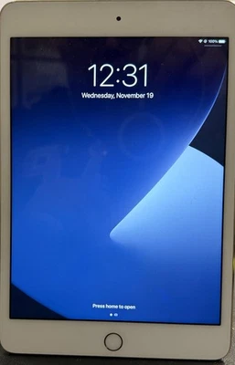 Apple iPad mini 4 A1538 64 GB, Wi-Fi, 7,9 pulgadas - Dorado Foto 1 de 2