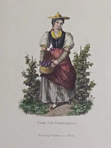 Antike Rudolf Dikenmann Lithographie Waadt, Une Vendangeuse Gouache & Aquarell - Bild 1 von 11