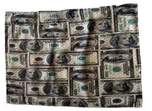 Money 100 Dollar Bill Standard Size Pillow Cover Accent Throw Green 26”x19” READ - Picture 1 of 11