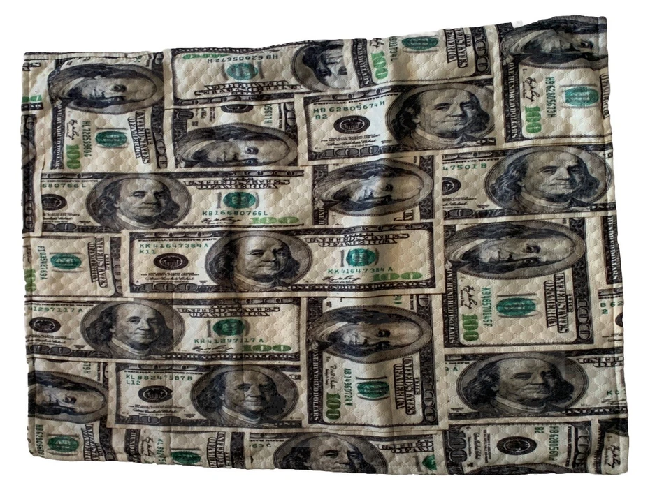 Money 100 Dollar Bill Standard Size Pillow Cover Accent Throw Green 26”x19” READ - Image 1 of 4