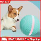 Active Rolling Ball USB Rechargeable Interactive Dog Ball for Dogs Cats Pet