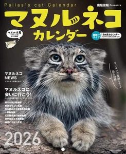 Calendario gato de Palas 2026 raro ilustración animal silvestre regalo coleccionable - Imagen 1 de 1