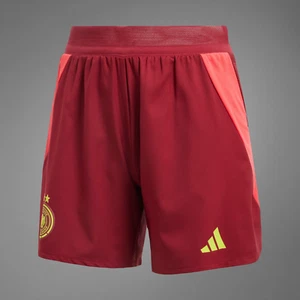 DFB Deutschland Auswärts-Hose 2025 XXS-2XL Damen-Shorts UEFA Women's EURO 25 - Picture 1 of 2
