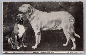 Tarjeta postal Happy & Old Ben Oneonta NY Fire Dogs UDB H5 - Imagen 1 de 2