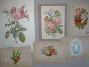 Flores Rosas Botánica Redoute - 2 gráficos impresos 4 obleas manuscrito - 1902 - Imagen 1 de 9