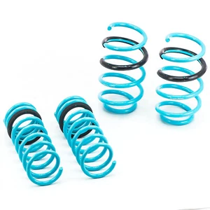 Godspeed Traction S Lowering Springs Lower Kit For 2014-2019 Ford Focus St - Foto 1 di 2