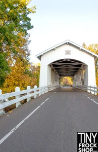 A-381-J 12" Fashion Doll Photography Backdrop - Wide - Larwood Bridge - Picture 1 of 1