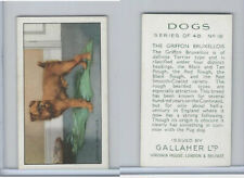 G12-81 Gallaher Tobacco, Dogs, 1936, #18 Griffon Bruxellois