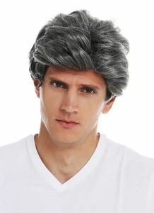 Perücke Halloween Karneval Herren Männer gewellt kurz Scheitel grau meliert - Bild 1 von 6
