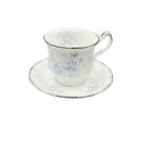 Vintage Paragon Tea Cup And Saucer Floral Design Brides Choice Platinum Trim