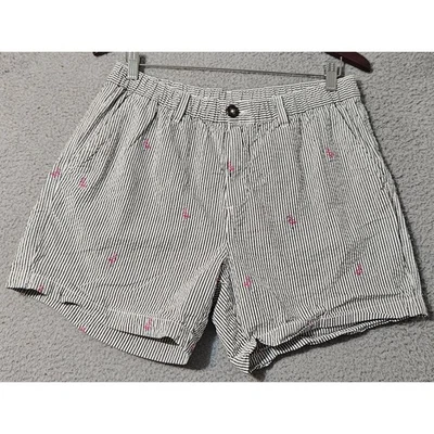 Шорты Chubbies The Flamingo Racers 5,5 дюйма оригинальные Seersucker в полоску мужские большой размер - Изображение 1 из 4