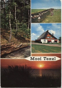 Cartolina d'epoca - Mooi Texel - Foto 1 di 1