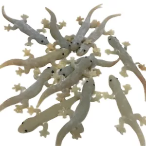 Fake Realistic Lizard Rubber Reptile Animal Toy Gecko Cat Toy Halloween 12 PCS - Picture 1 of 10