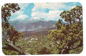Juniper Trees Garden Of The Gods PIKES PEAK Region  Colorado CO Postcard 1969 - Bild 1 von 2