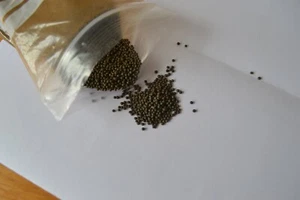 SACCHETTI DI PELLET 500 GRAMMI: PLASTICA, SHOT O TENDER TOUCH PER ARTIGIANATO - Foto 1 di 3