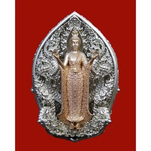 Rare Buddhist Amulet Phra Buddha Vitarka Mudra with Garuda LP Tee Lek 2018 Luck - Picture 1 of 13