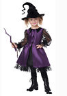 California Costumes 2021119 Toddler Wittle Witchiepoo