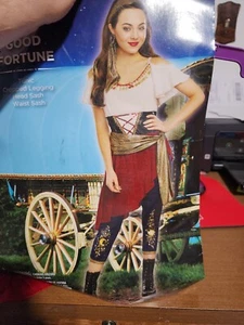 Disfraz de niña Good Fortune Teller Tween talla 3251 - Imagen 1 de 1