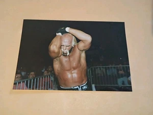 Hulk Hogan WCW 1998 Halloween Havoc Wrestling Type 1 Photo Hw3824 - Picture 1 of 1