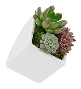 Cube Wall Planter - White - New In Box - Arcadia Garden Products 6" tall cube - Picture 1 of 4